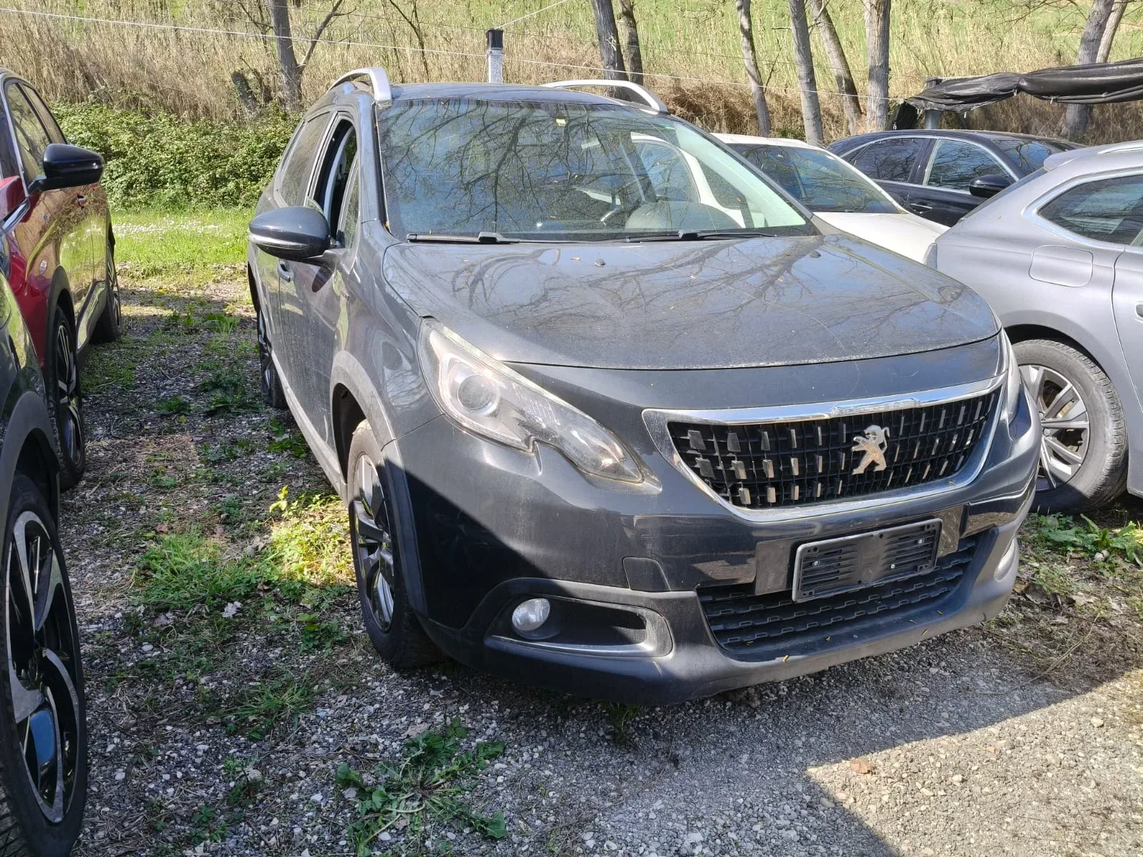Peugeot 2008 (2019) 2