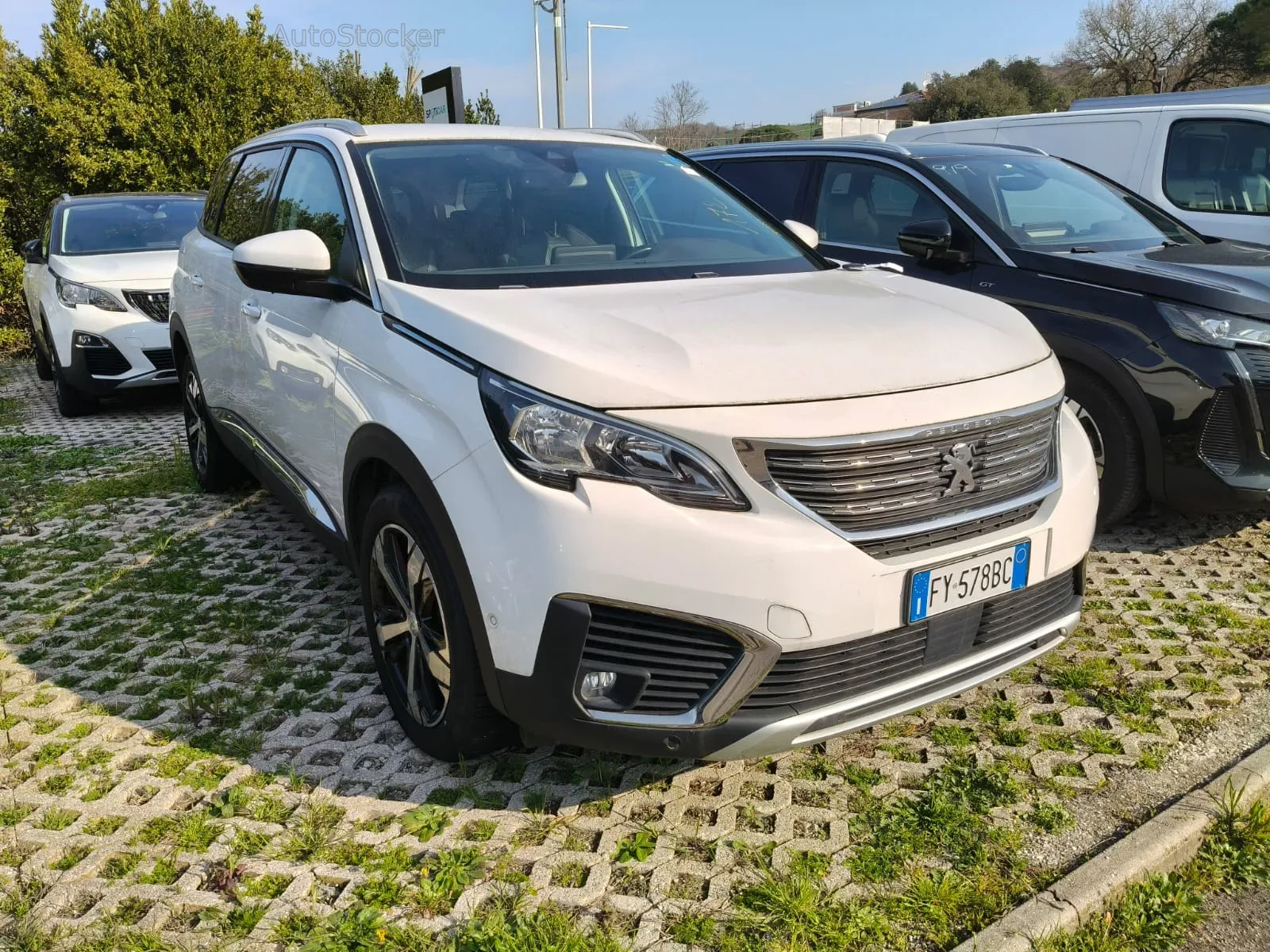 Peugeot 5008 (2019) 2
