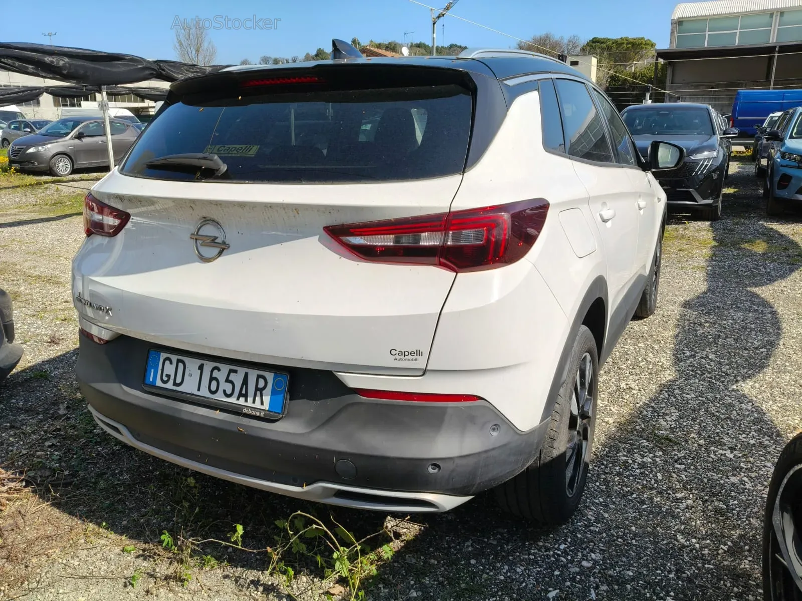 Opel Grandland (2020) 5