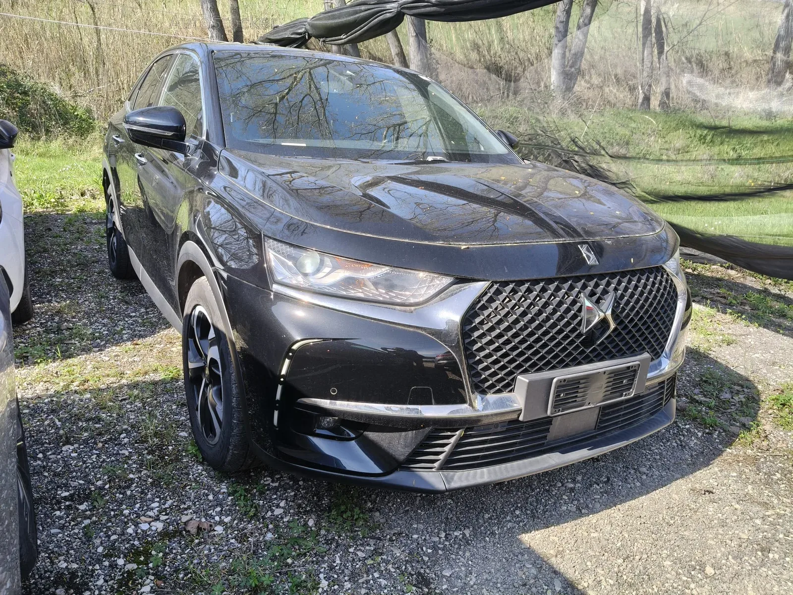 DS 7 (2019) 2