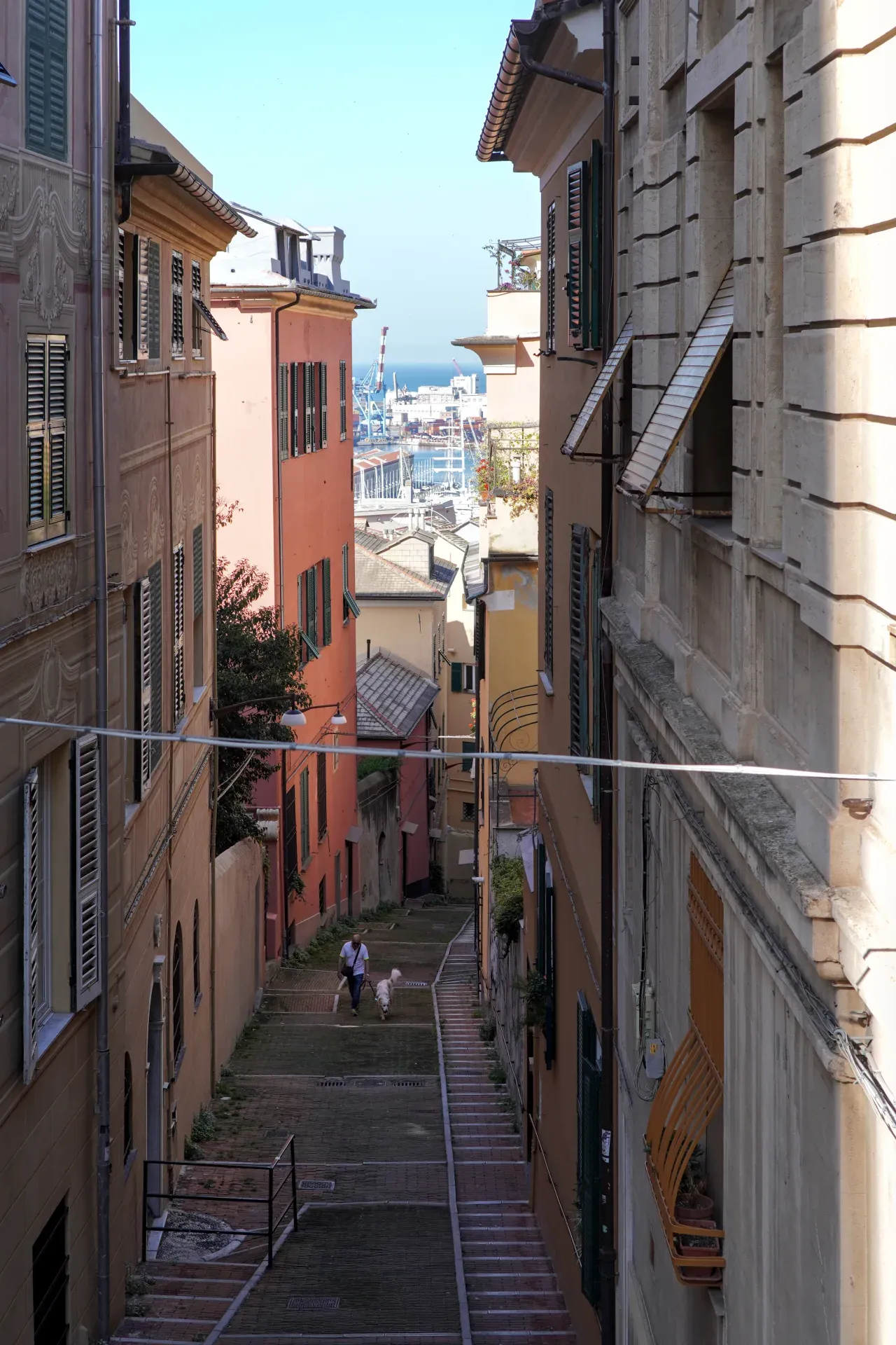 Picturesque panoramic view of Genoa, Italy, showing the harbor with cargo ships and yachts, and the city with characteristic roofs and domes.