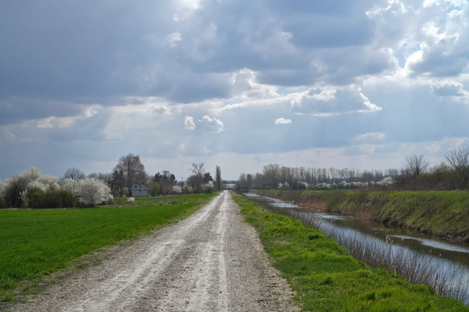 Makadamski put vodi kroz pejzaž na putu od Pančeva do Smedereva, duž rute EV-6. Sa leve strane polje i drveće u cvetu, sa desne strane kanal i zelena trava pod dramatičnim nebom.