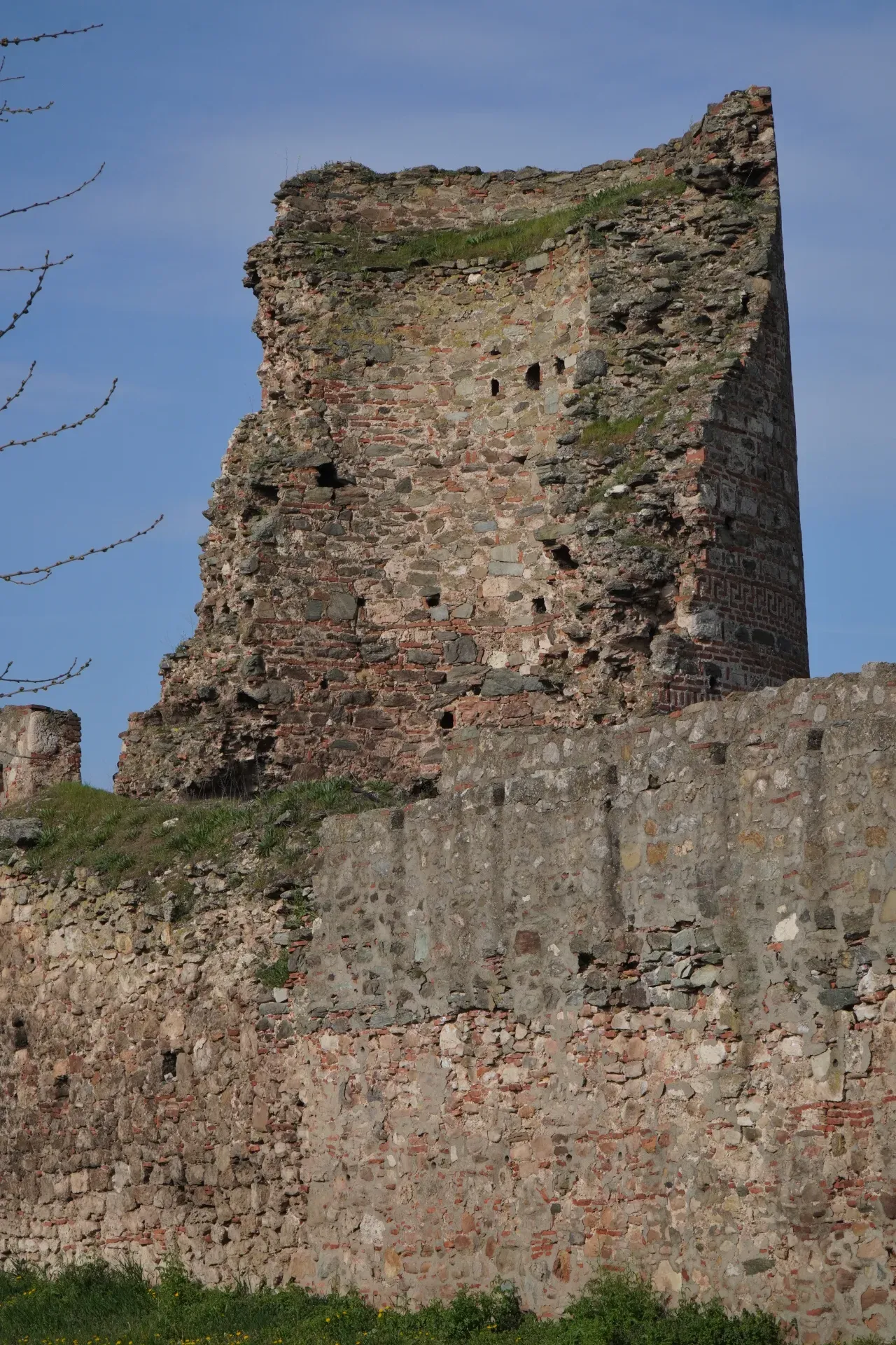 Zerfallene Steinturm und Mauern der Festung Smederevo, bedeckt mit Gras, unter blauem Himmel.