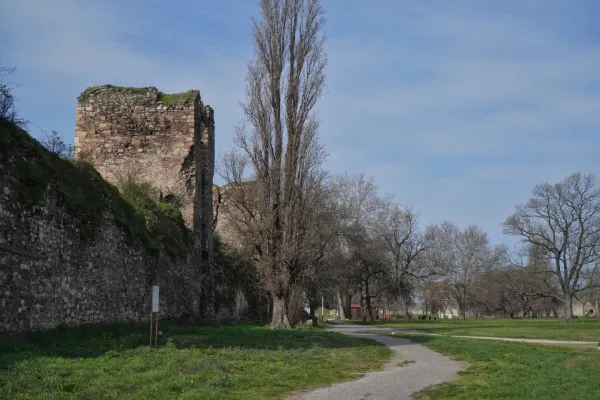 Muros de piedra históricos y ruinas de la Fortaleza de Smederevo en Serbia, con un árbol alto y desnudo y un camino de grava en un prado verde.