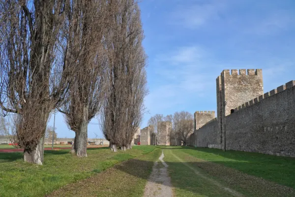 Ein Pfad führt durch grünes Gras zu den steinernen Mauern der Festung Smederevo in Serbien, mit einer Reihe hoher, kahler Bäume auf der linken Seite unter einem klaren blauen Himmel.