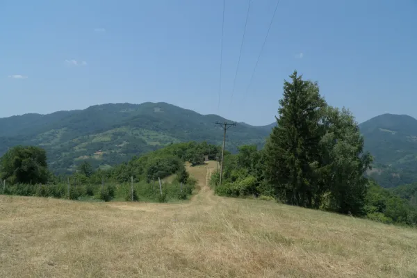 Eine hügelige Landschaft mit grünen Wäldern und Wiesen in der Nähe von Bajina Bašta im Tara Nationalpark, Serbien, unter einem klaren blauen Himmel. Ein Feldweg führt bergauf zu einem kleinen Gebäude, und Stromleitungen verlaufen über die Szene.