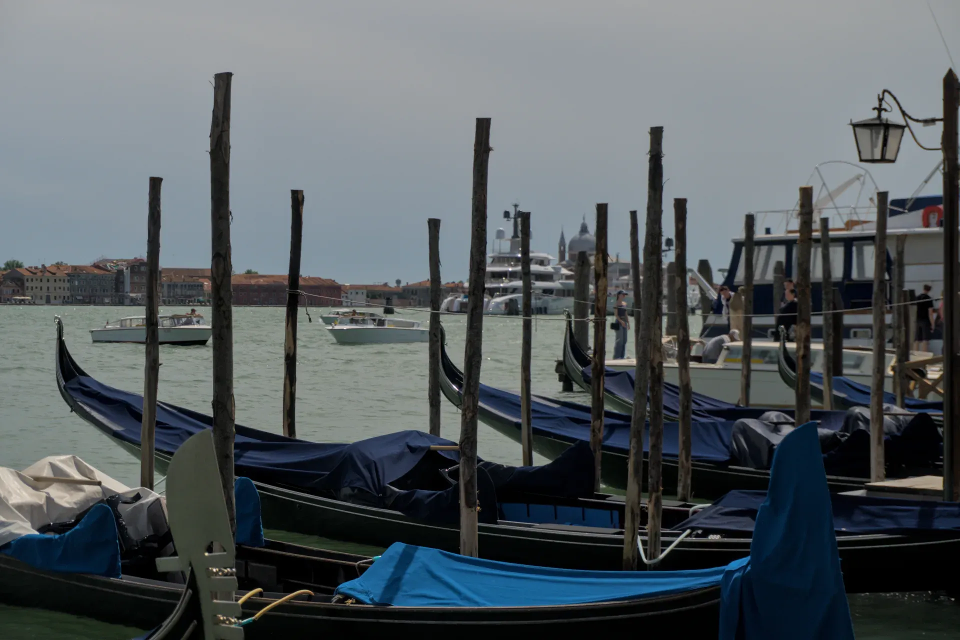 Una fila di gondole veneziane, con coperture blu, sullo sfondo della città e dell'acqua, con altre barche sullo sfondo.
