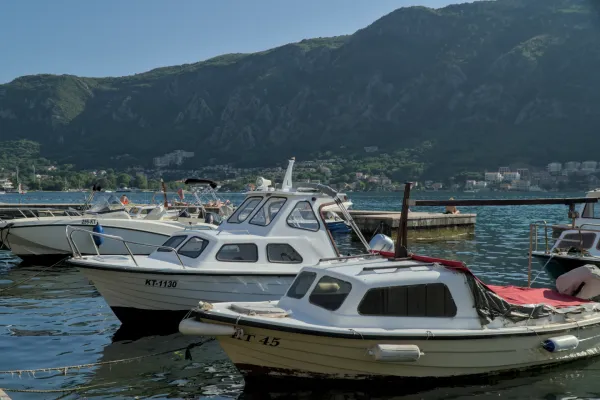 Mehrere weiße Boote liegen im sonnigen Hafen von Kotor, Montenegro, vor einer bergigen Landschaft.