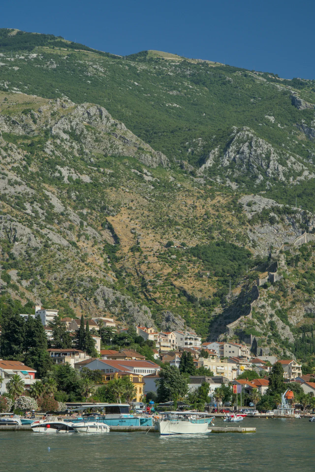 Slika slikovite obale Kotora, Crna Gora, sa gradom u podnožju planine i brodovima u vodi.
