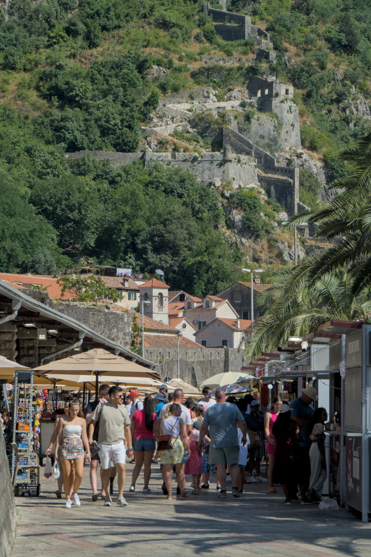 A lively street in the historic Old Town of Kotor, Montenegro, featuring ancient stone walls and hilltop fortress ruins.