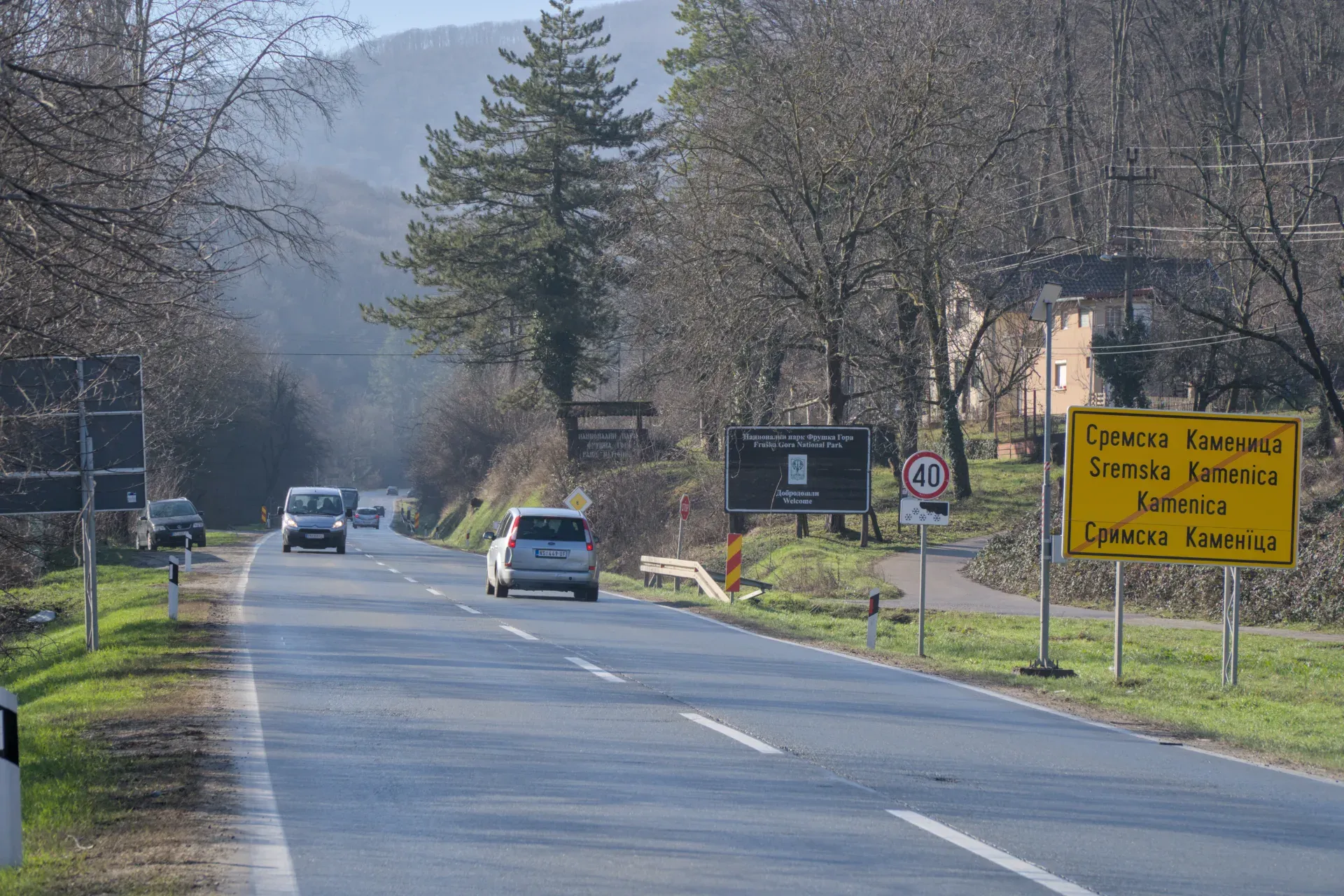 Straße von Sremska Kamenica nach Iriški Venac im Fruška Gora-Gebirge, Serbien, mit Bäumen und vorbeifahrenden Autos.