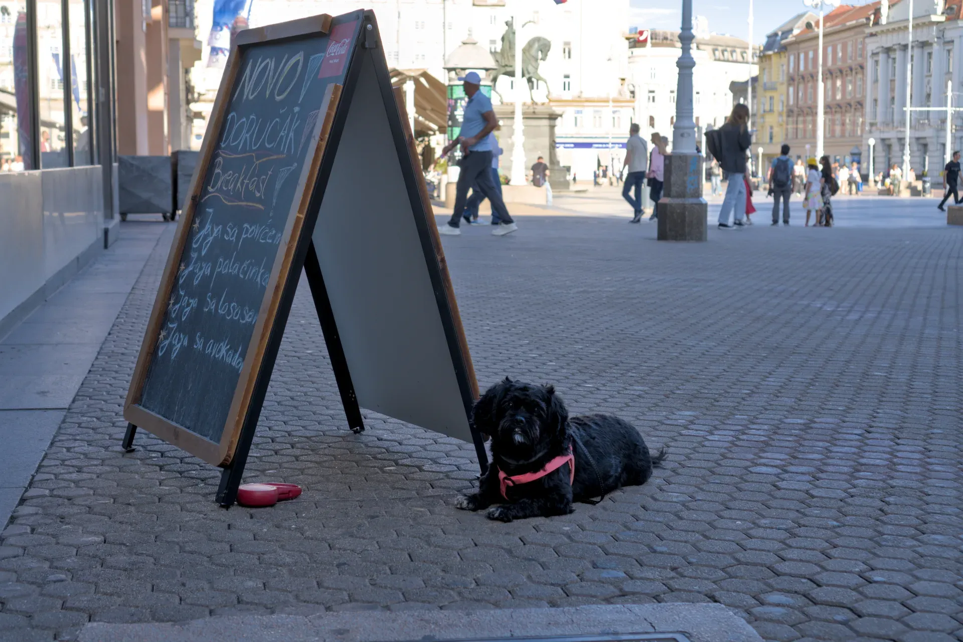 A small black dog in a red harness lies peacefully on the cobblestones in front of a menu sign in Zagreb.