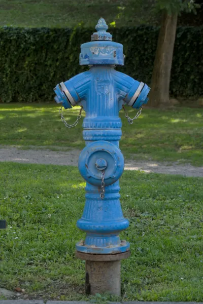 A weathered, royal blue hydrant stands in a green park, framed by a bush and a tree.
