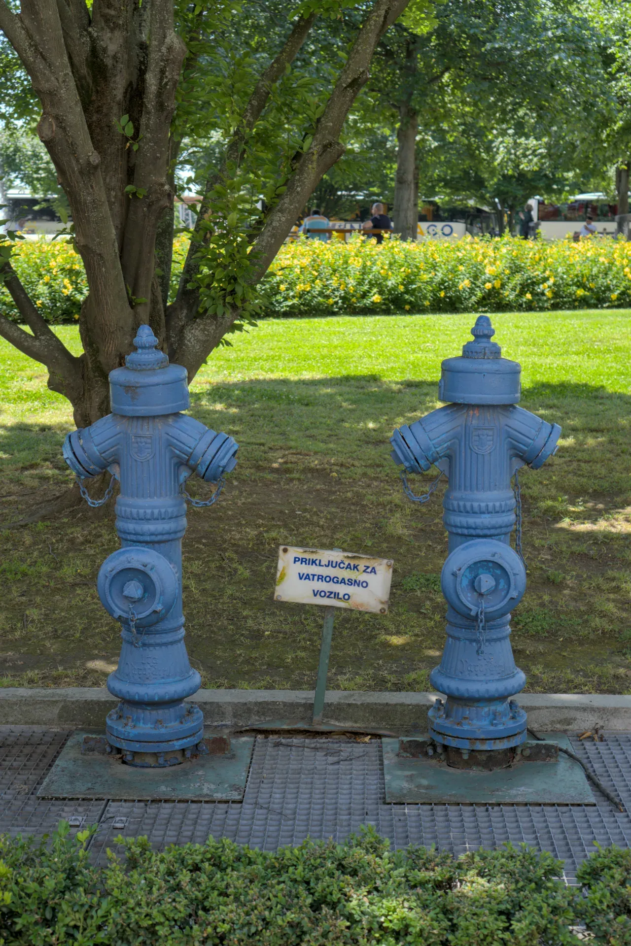 Zwei identische blaue Hydranten stehen nebeneinander in einem Park mit grünem Gras und gelben Blumen im Hintergrund.