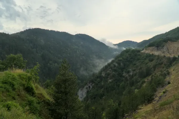 Mattina nebbiosa nel Parco Nazionale di Tara, Serbia, sopra una gola con foreste di pini.