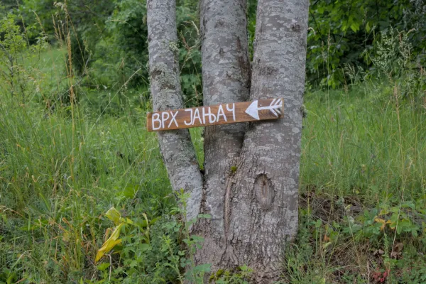 Holzschild mit weißem Pfeil und kyrillischer Beschriftung 'ВРХ ЈАЊАЧ' (Gipfel Janyač), befestigt an einem Baumstamm.