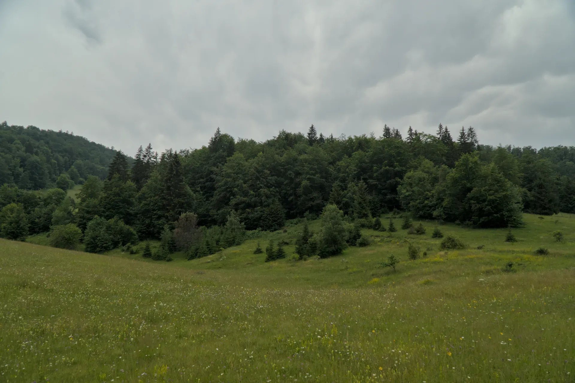 Düstere Wolken über Wäldern und blumenübersäten Wiesen im Nationalpark Tara, Serbien.
