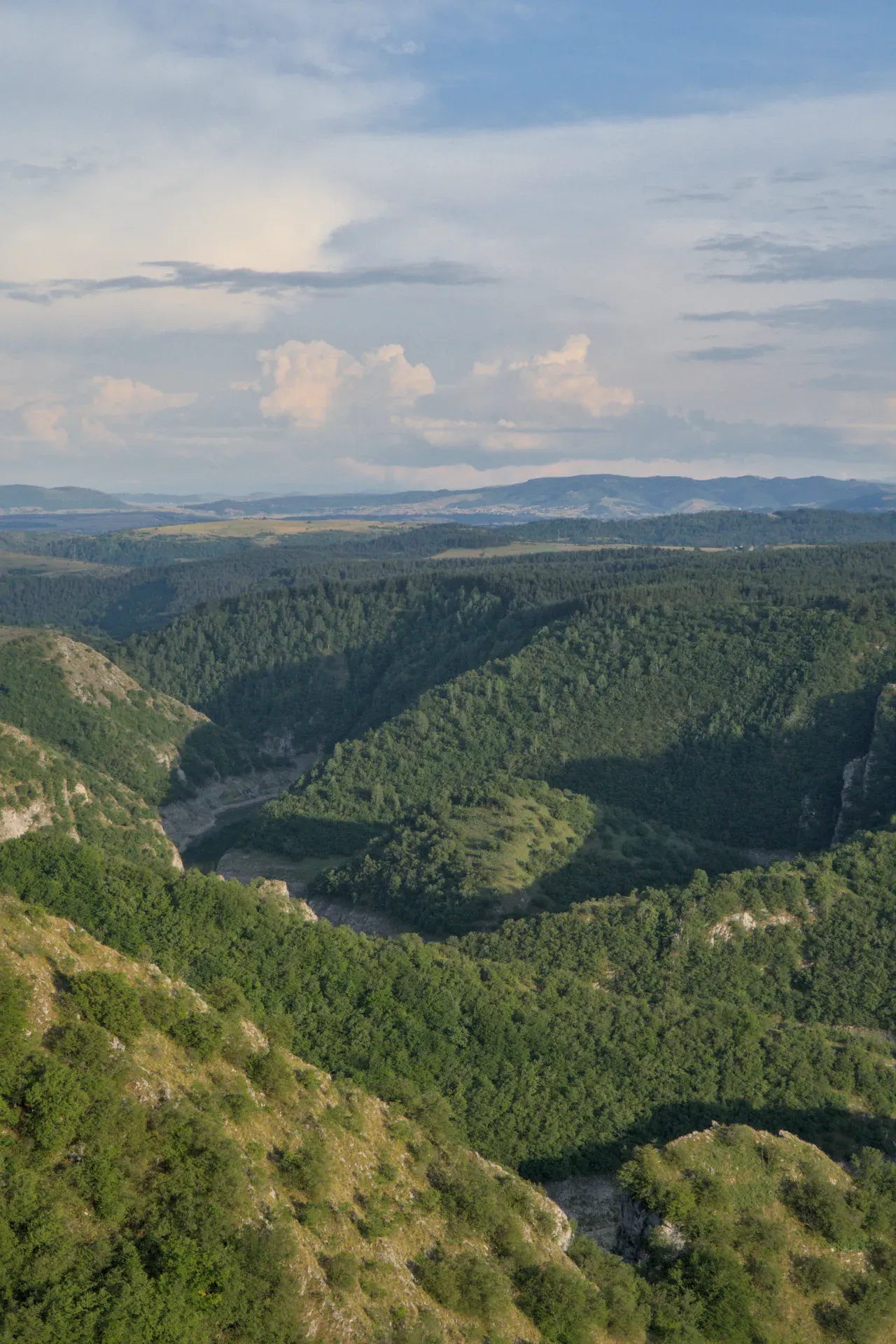 Vijugavi kanjon u Srbiji, osvetljen mekom svetlošću zalaska sunca, sa zelenim brdima i rekom.