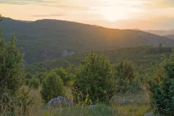 Tramonto sull'altopiano "Molitva" a Uvac, Serbia, con dolci colline e luce calda.