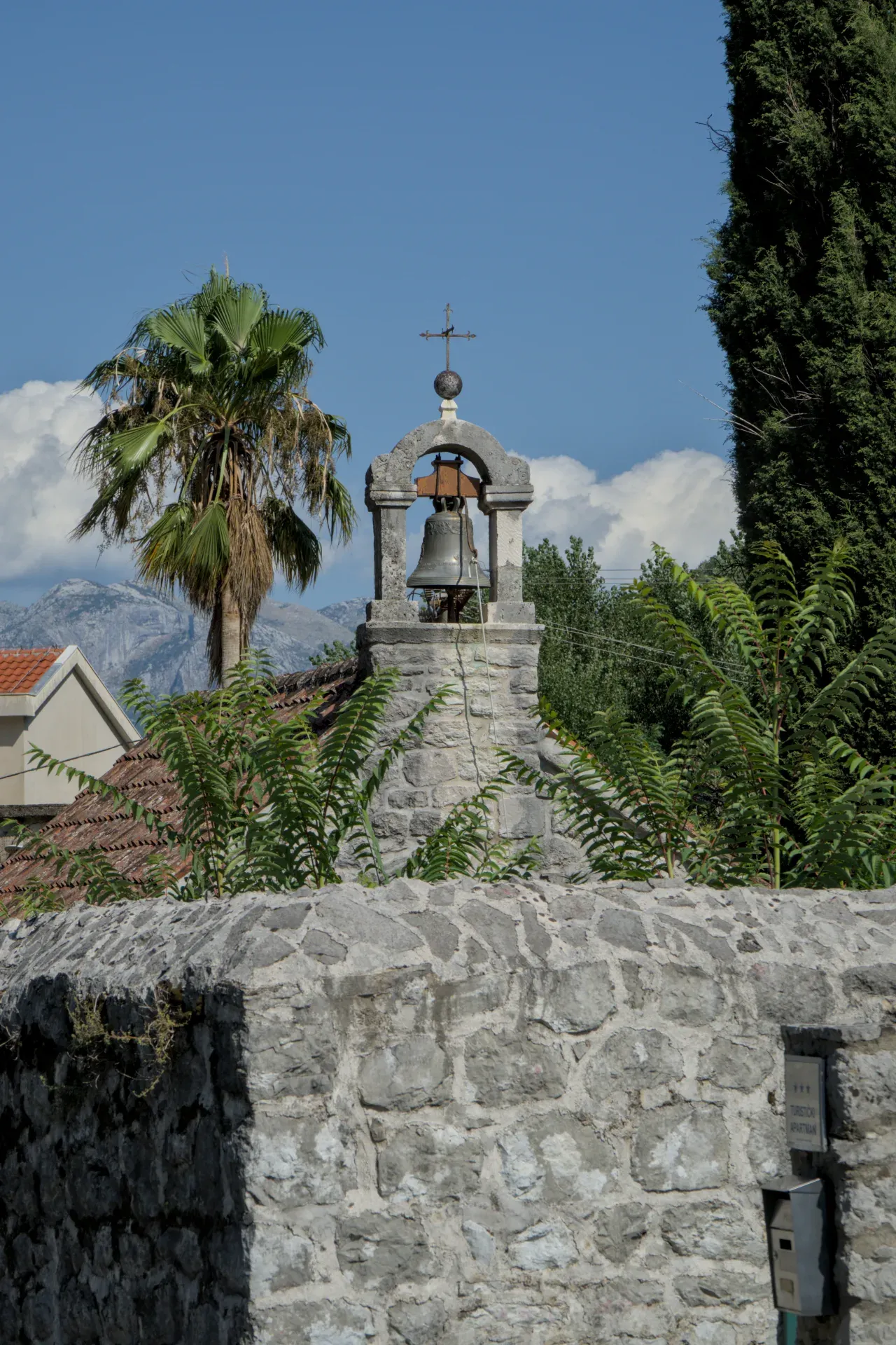 Il campanile della Chiesa Cattolica di San Trivun a Kotor, Montenegro, con palme e montagne in lontananza.