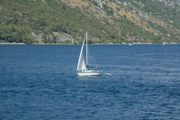 Una barca a vela naviga sul mare nella Baia di Kotor, Montenegro, con montagne verdi sullo sfondo.