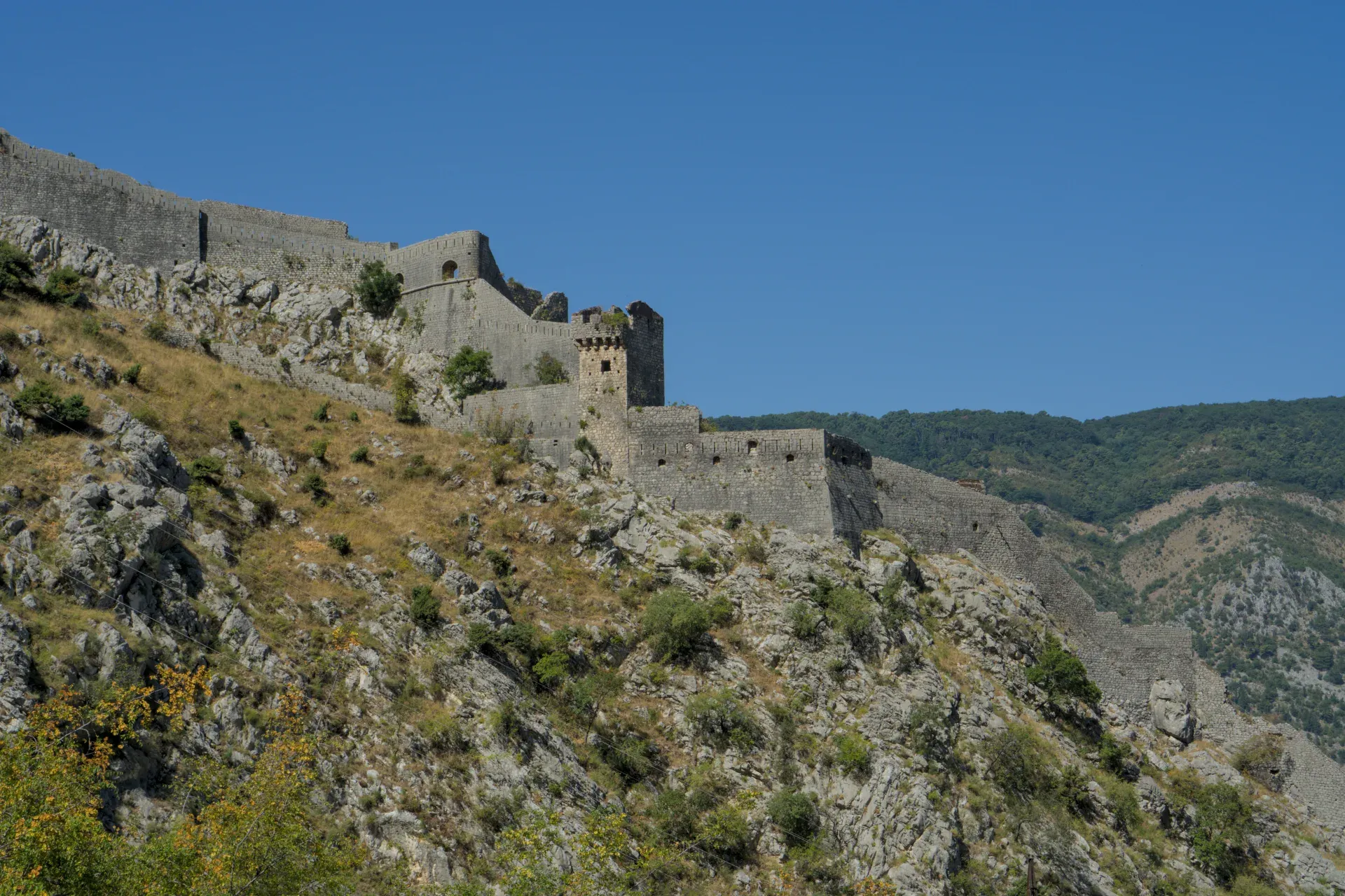 The historic Kotor Fortress, with its stone walls and towers, ascending a rocky mountainside under a clear blue sky.