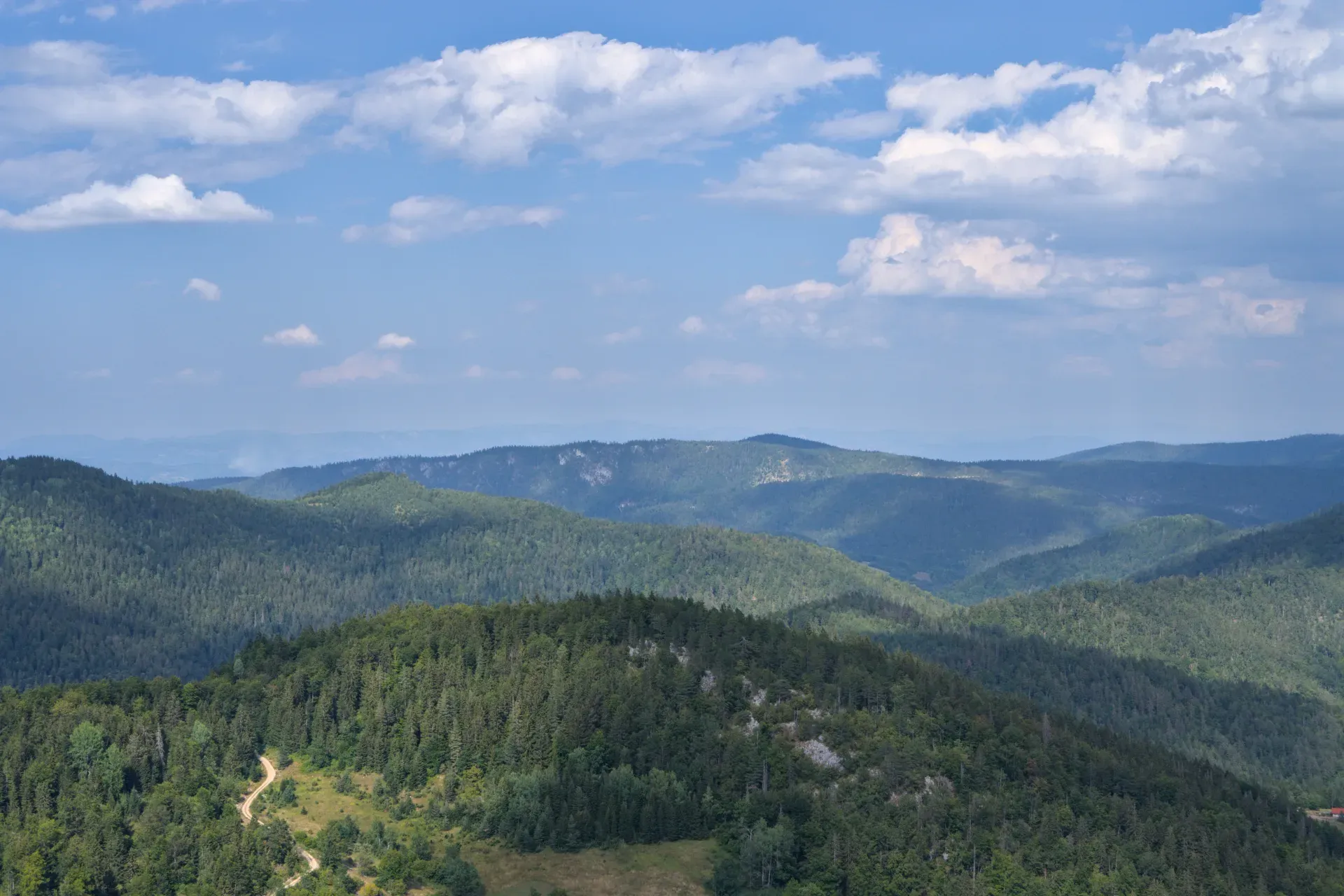 Spruce-covered mountains around Janyač peak in Tara National Park, Serbia, under a blue sky with clouds.