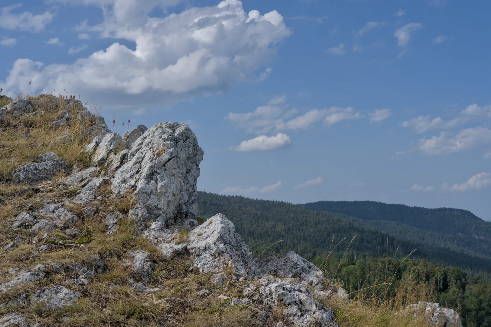 Terreno montuoso sulla Vetta Yanach con primo piano roccioso e colline boscose in lontananza.