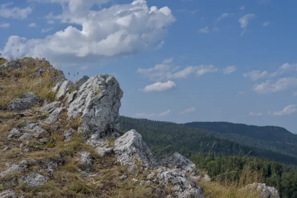 Terreno montuoso sulla Vetta Yanach con primo piano roccioso e colline boscose in lontananza.