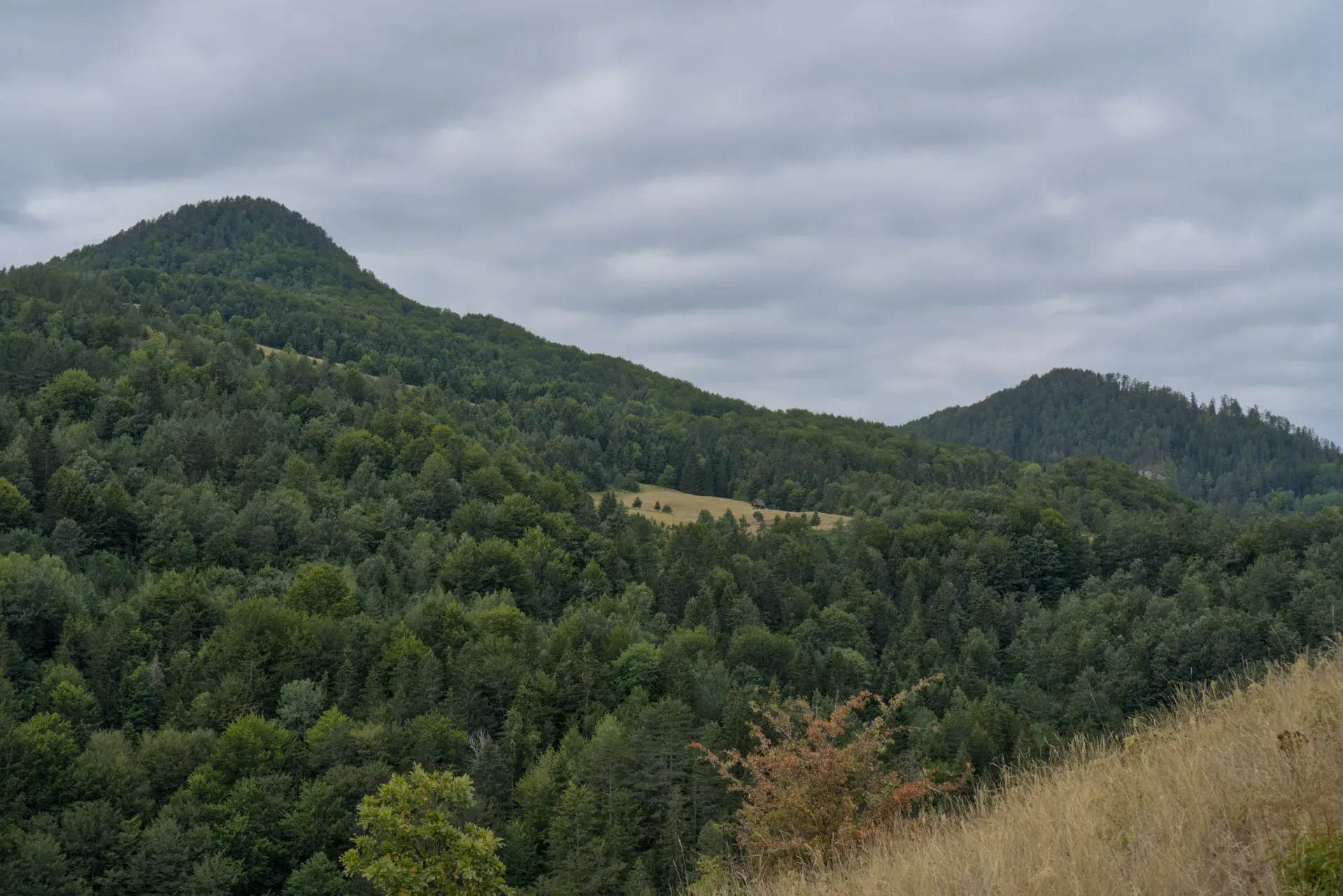 View from Ravna Stena in Tara National Park, Serbia, overlooking green mountains and forested slopes.