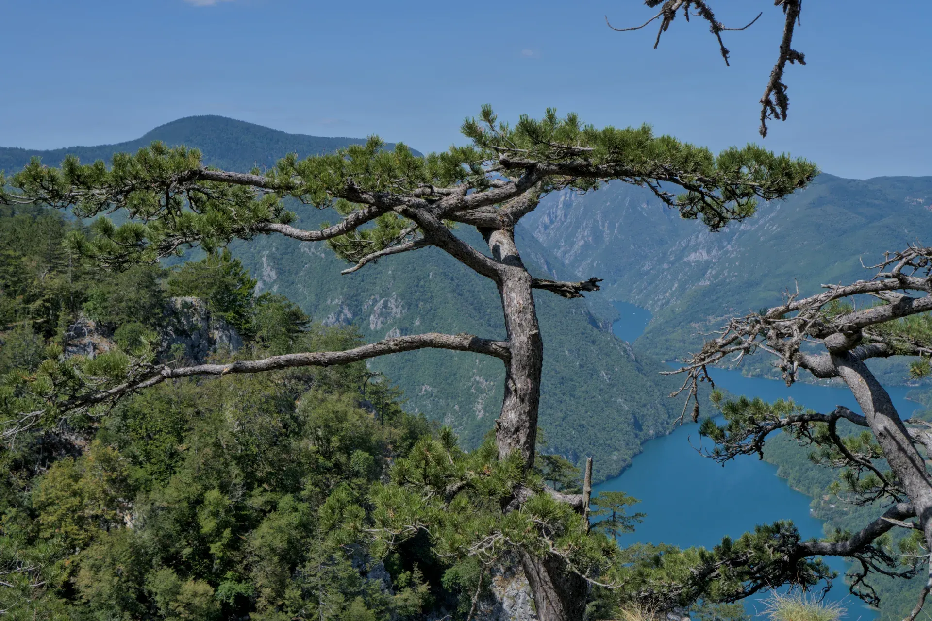 Vista desde el mirador de Banjska Stena hacia el lago Perućac, enmarcada por árboles, en Serbia.