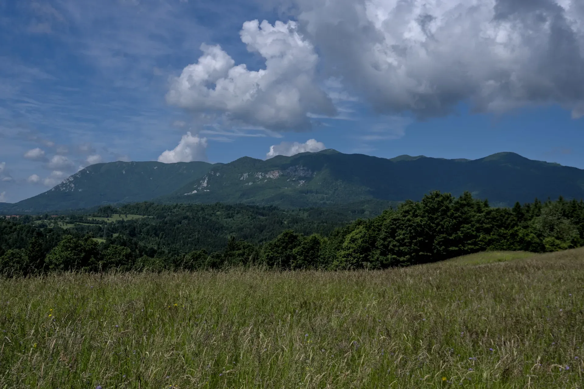 Vista panoramica di montagne blu e prati verdi vicino a Postojna, Slovenia.