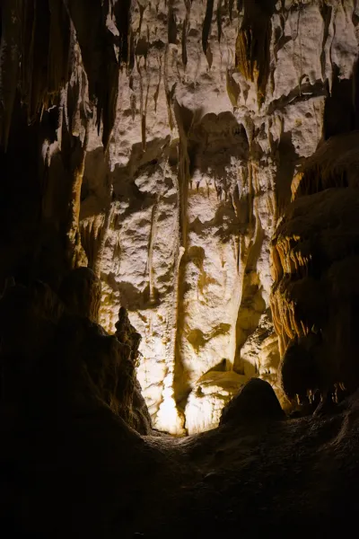 Une prise de vue verticale sombre d'une chambre de grotte à Postojna, éclairée par le bas par une lumière chaude mettant en valeur les stalactites et stalagmites.