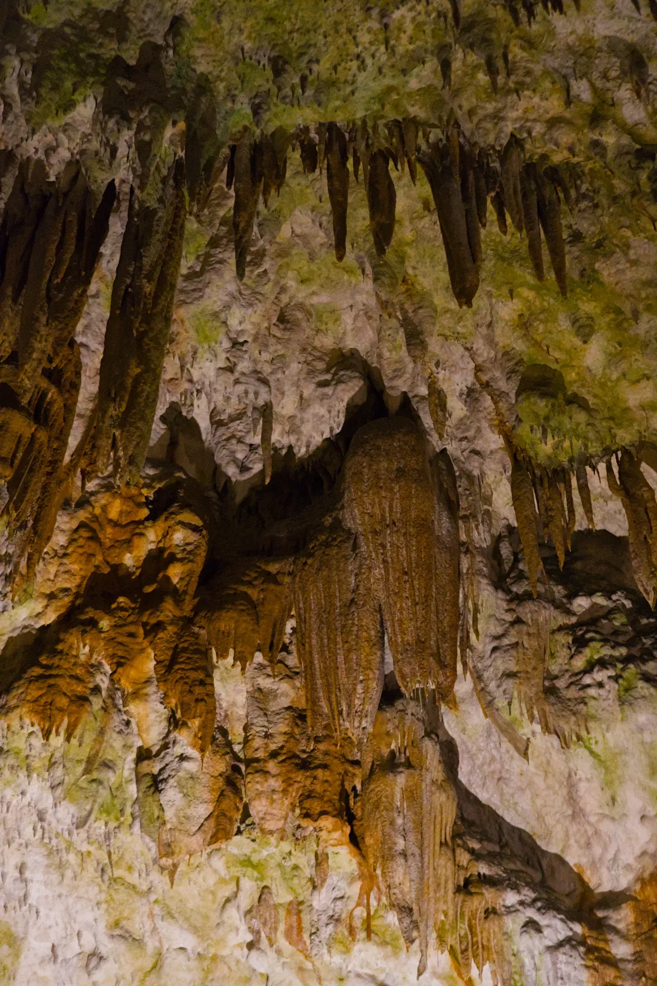 Stalactites et stalagmites dans la Grotte de Postojna, présentant un fantastique spectacle du monde souterrain.