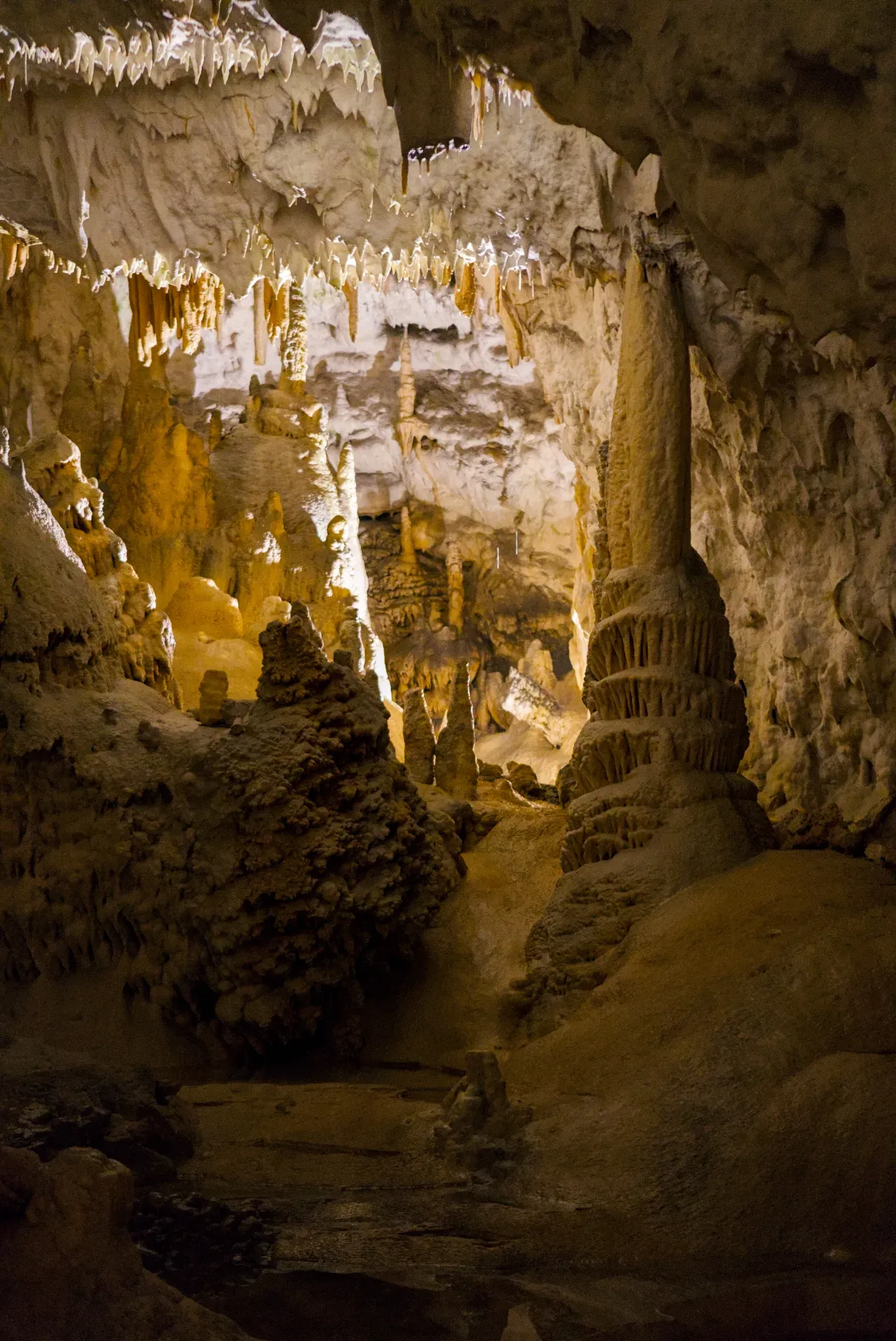 Paysages souterrains étranges de la grotte de Postojna avec stalactites et stalagmites en lumière chaude.