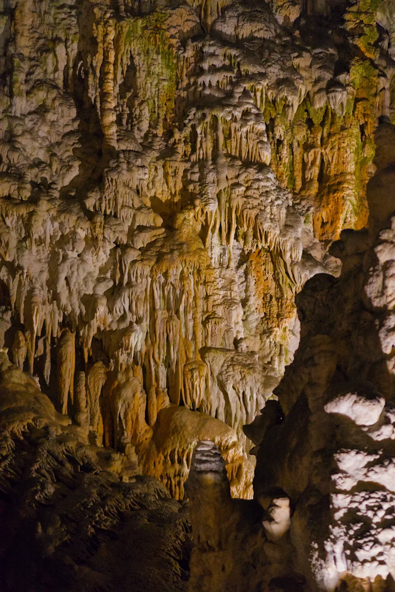 Stalactites et stalagmites dans la Grotte de Postojna, un témoignage de millénaires d'art naturel.