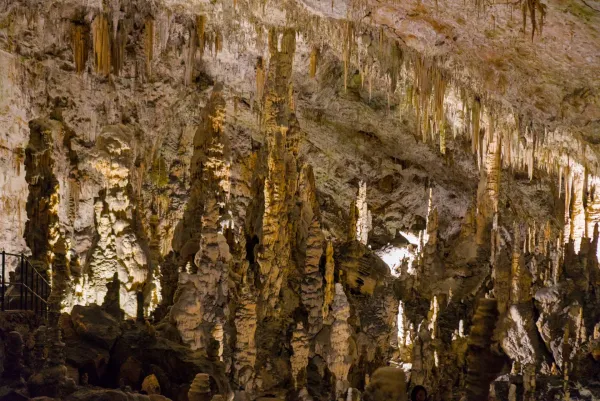 Impressionnantes formations de stalactites et stalagmites dans la Grotte de Postojna, Slovénie.