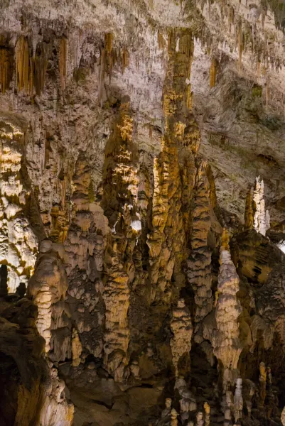 Detaljan prikaz stalagmita i stalaktita unutar Postojnske jame, Slovenija.