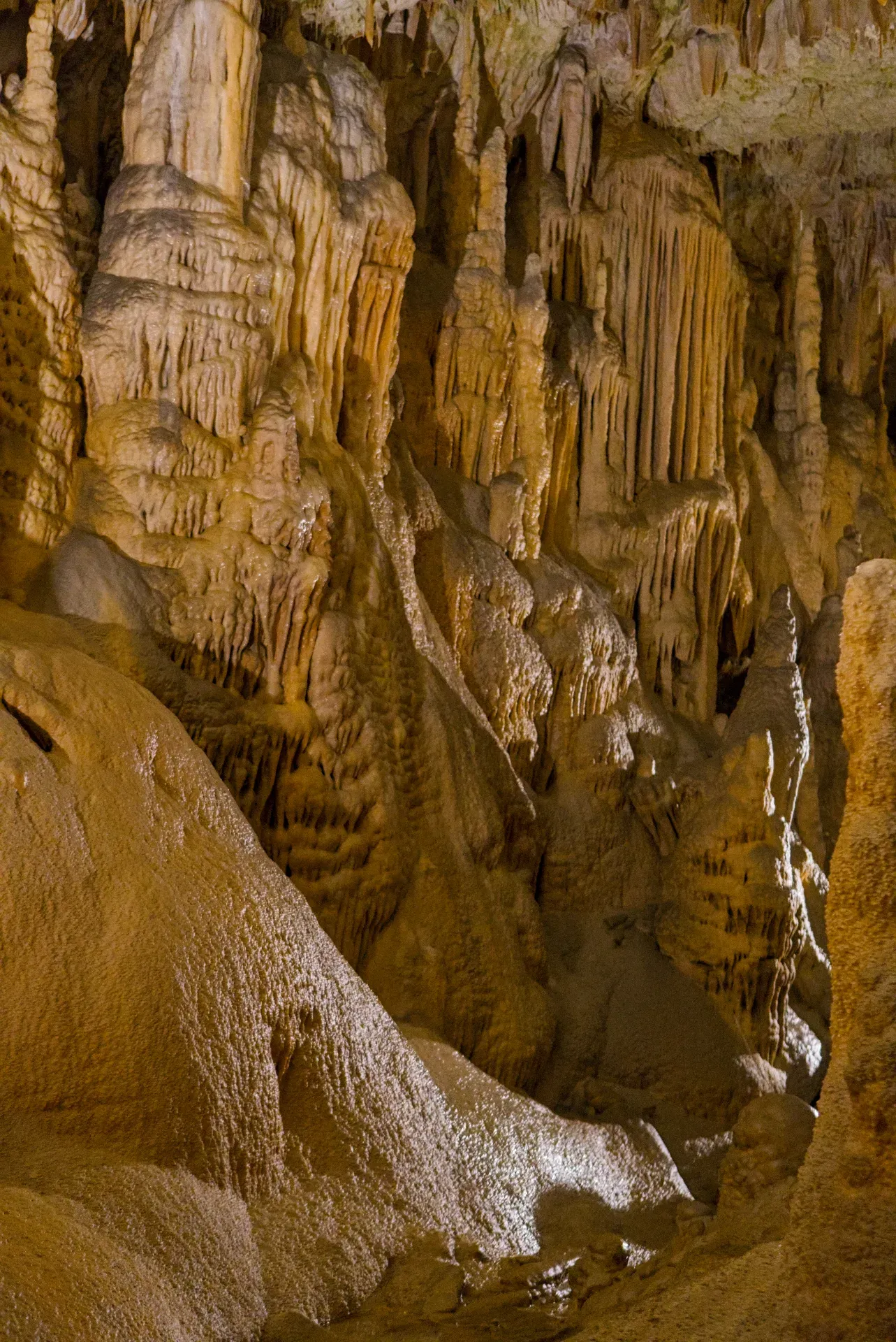 Složene formacije stalaktita i stalagmita u Postojnskoj jami, Slovenija, prikazujući zlatne i smeđe nijanse.