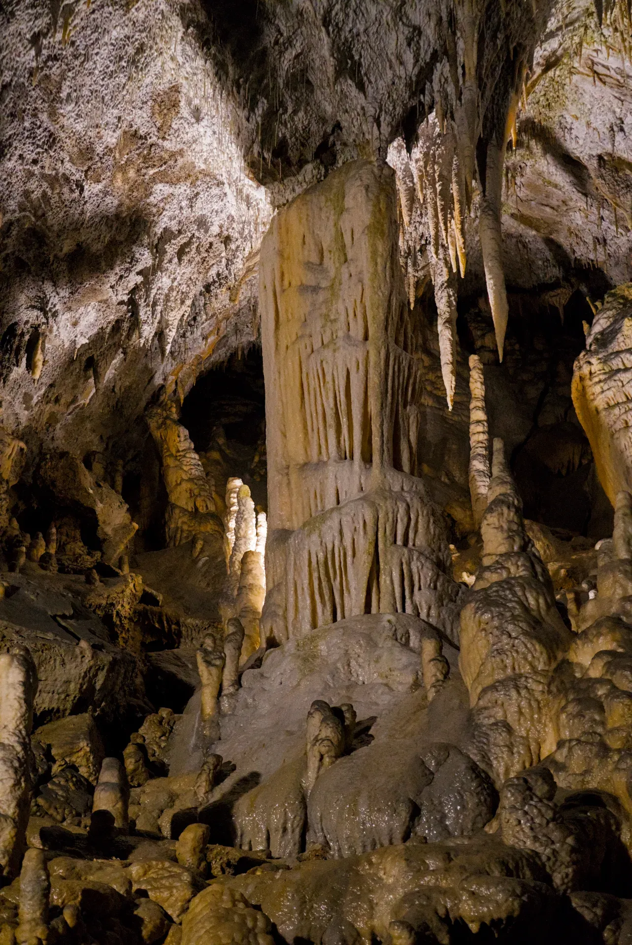 Des stalactites et stalagmites captivants dans la grotte de Postojna (Postojnska jama) créent un paysage artistique naturel.