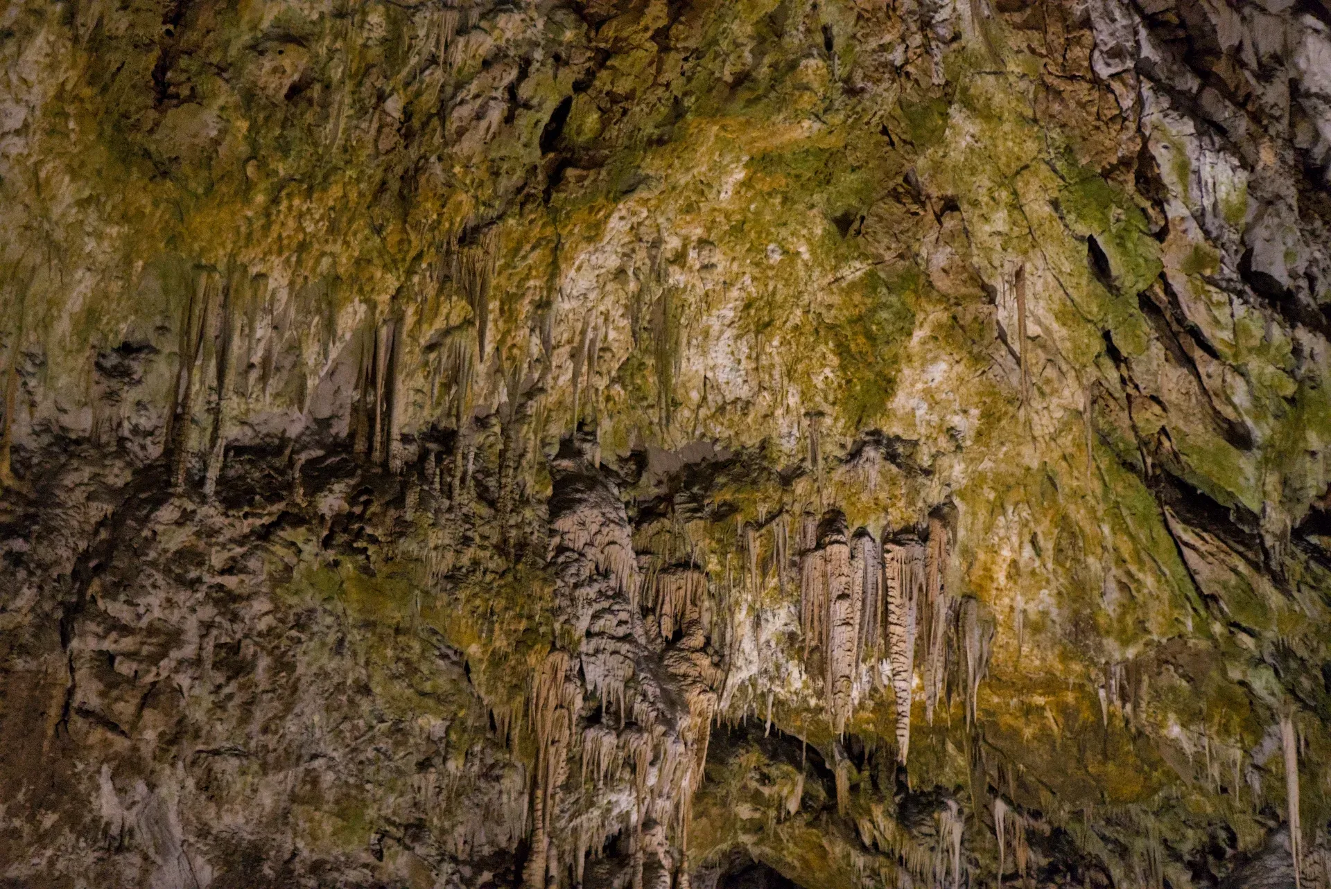 Textur der Höhlendecke mit Stalaktiten und mineralischen Ablagerungen in Grün- und Brauntönen.