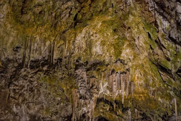 Textur der Höhlendecke mit Stalaktiten und mineralischen Ablagerungen in Grün- und Brauntönen.
