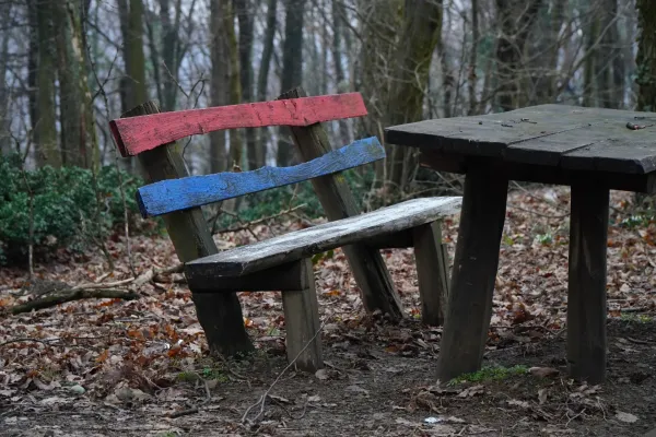 Eine rustikale Holzbank mit roten und blauen Streifen, die die serbische Flagge darstellen, steht in einem Wald.