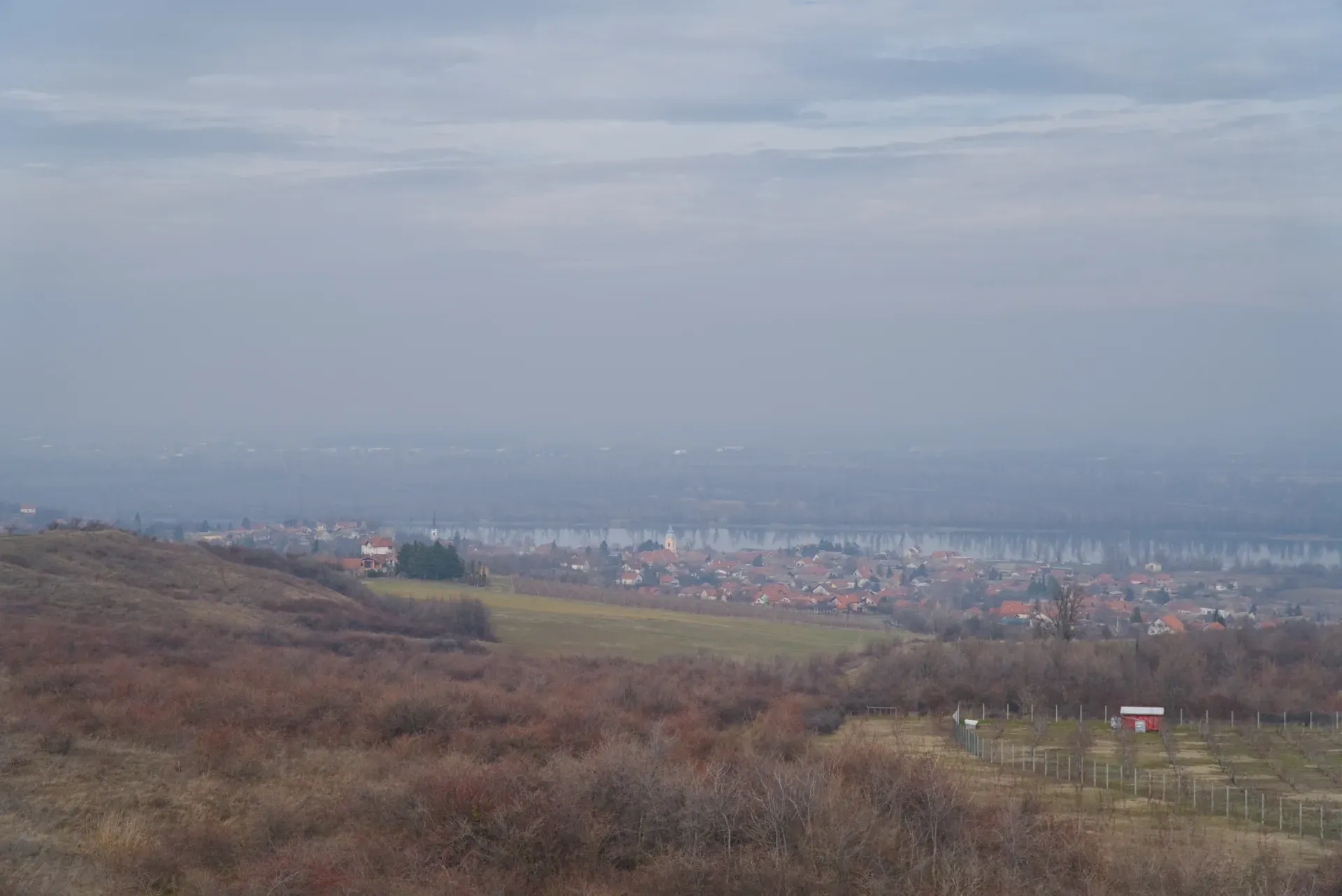 Misty February morning over the Danube near Čerević, Novi Sad, Serbia with village view.