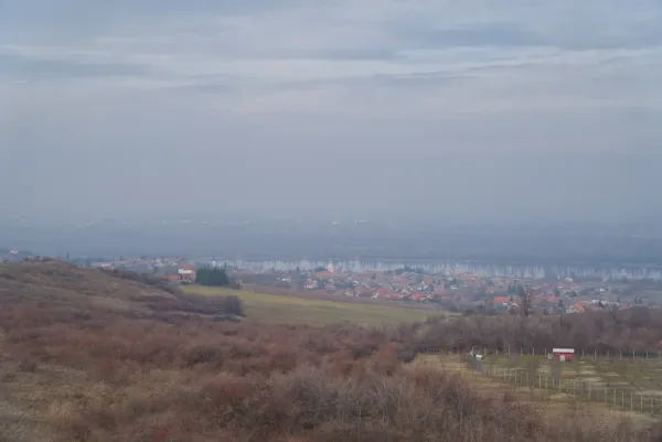 Mattina nebbiosa di febbraio sul Danubio vicino a Čerević, Novi Sad, Serbia con vista villaggio.