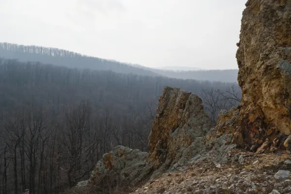 Orlowy-Mauern und nebelverhangene Hügel auf Fruška im Februar, ein Landschaftsbild für Galerien und Innendekoration.