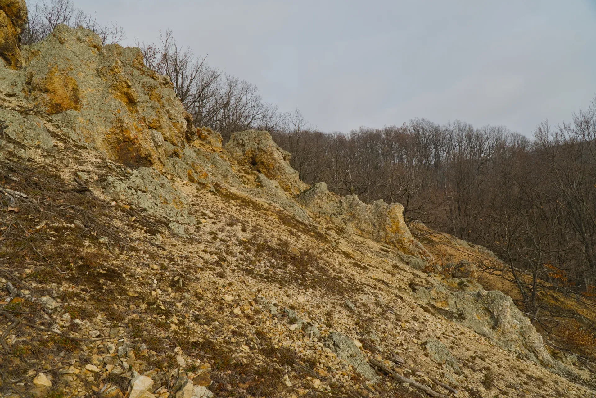 Felsformationen am Orlovec, Fruska Gora, mit trockenen Bäumen im Hintergrund.