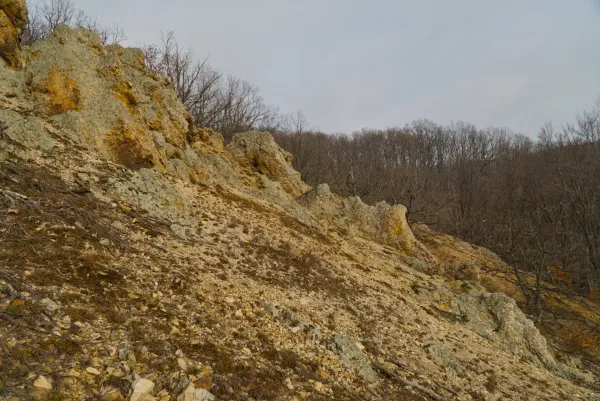 Formaciones rocosas de Orlovec en Fruška Gora, con árboles desnudos al fondo.
