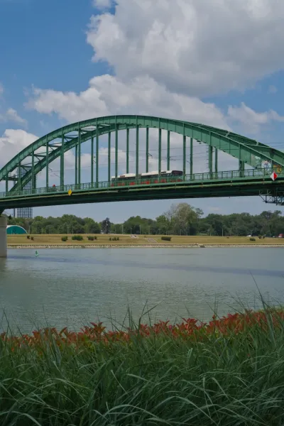 Zeleni Stari Savski most u Beogradu, Srbija, premošćuje reku pod oblačnim nebom, dodajući arhitektonski akcenat enterijerima.