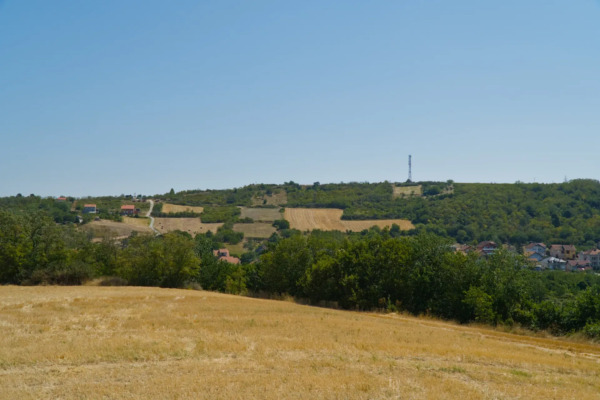 Paysage dans les contreforts du Fruška Gora, Serbie : champs dorés et collines verdoyantes sous un ciel clair.